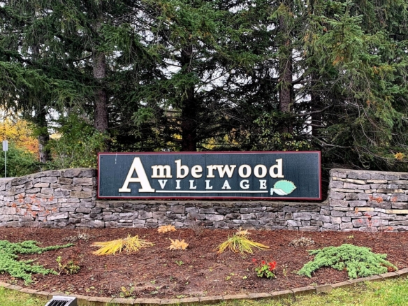 Amberwood-v3
