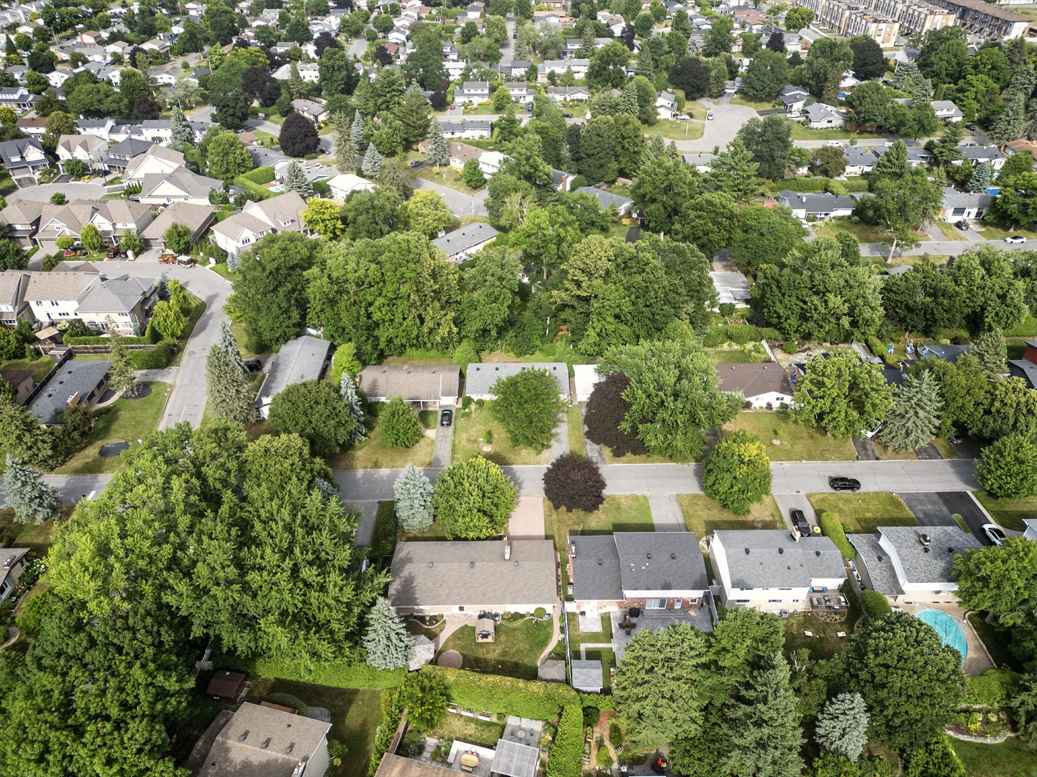 Aerial view of a tree-lined residential neighbourhood in Ottawa-Nepean